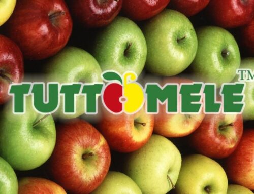 Domenica 9 novembre: TUTTOMELE A CAVOUR