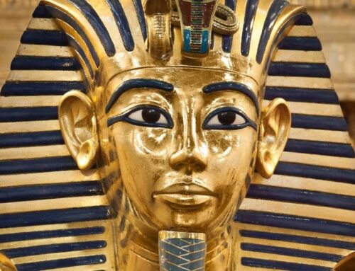 Domenica 22 febbraio: MUSEO EGIZIO DI TORINO