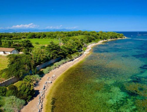 Giovedì 23 luglio: ISOLA SAINT HONORAT