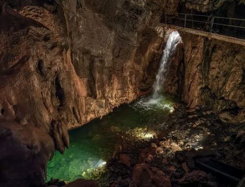 Domenica 9 agosto: GROTTE DI BOSSEA E CERTOSA DI PESIO