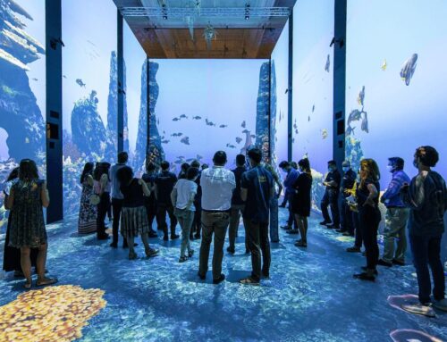 Domenica 8 novembre: MUSEO OCEANOGRAFICO DI MONACO